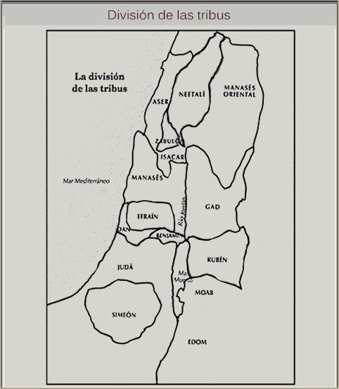 Division de las tribus